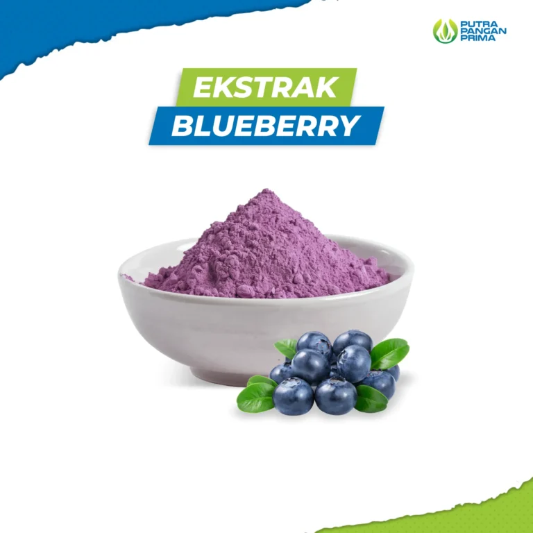 Ekstrak Blueberry