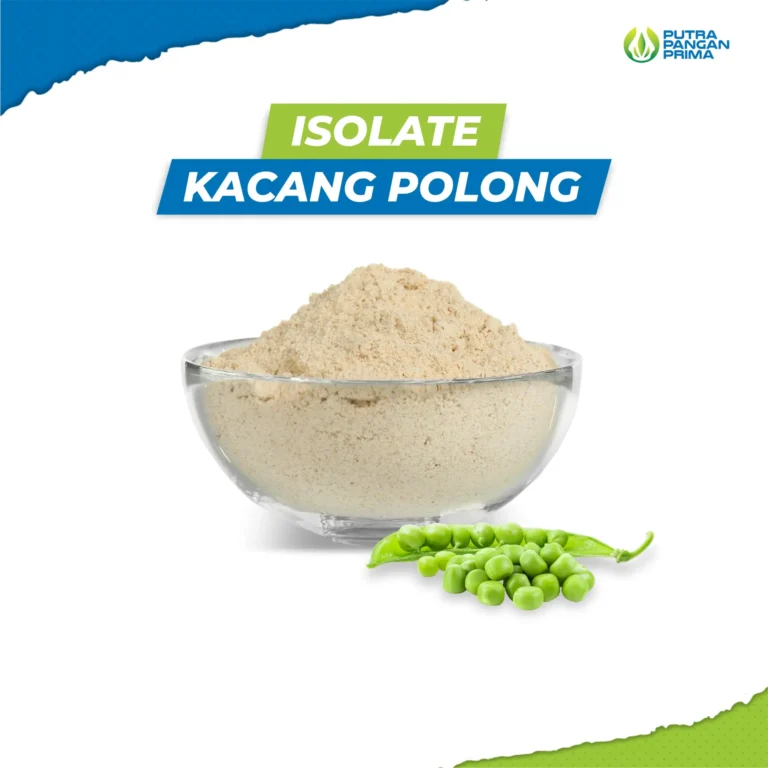 Isolate Kacang Polong