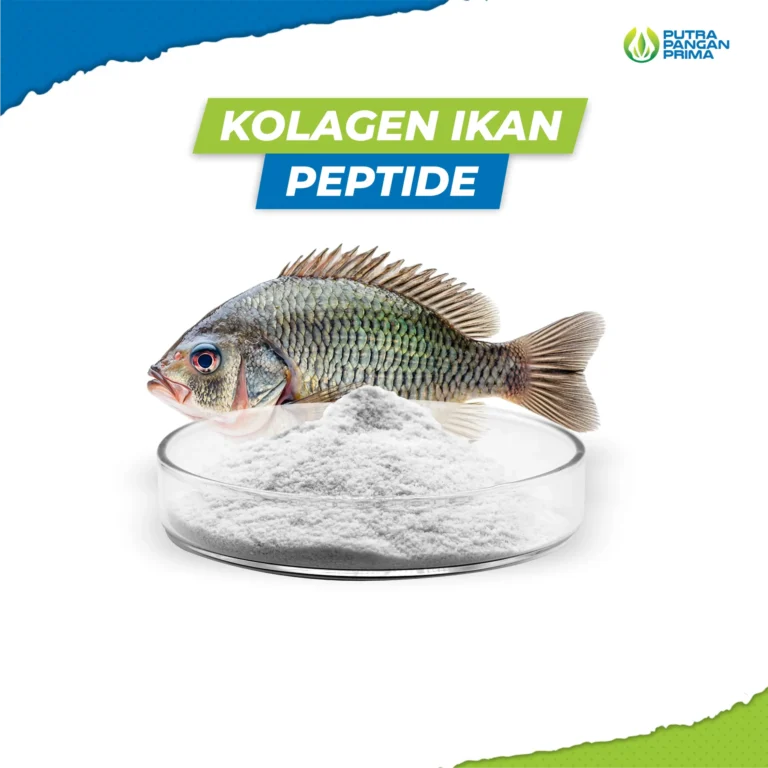Kolagen Ikan Peptide