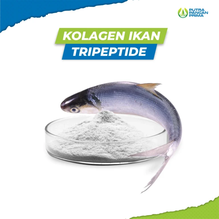 Kolagen Ikan Tripeptide