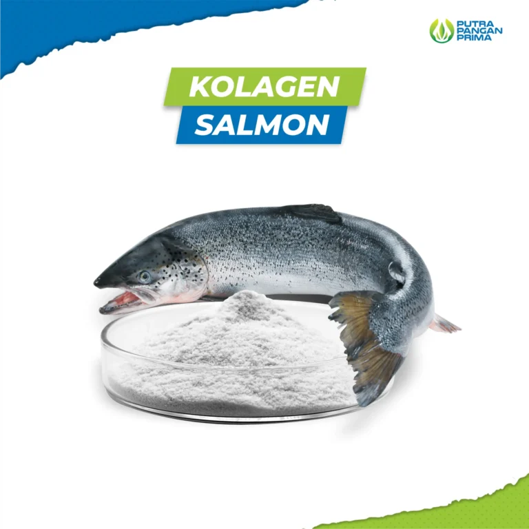 Kolagen Salmon