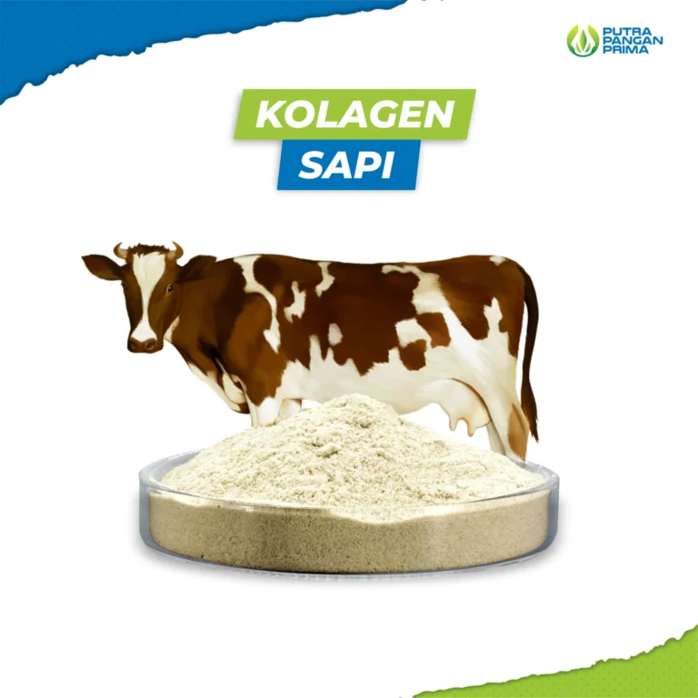 Kolagen Sapi